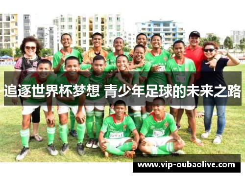 追逐世界杯梦想 青少年足球的未来之路