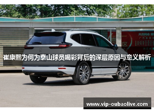 崔康熙为何为泰山球员喝彩背后的深层原因与意义解析